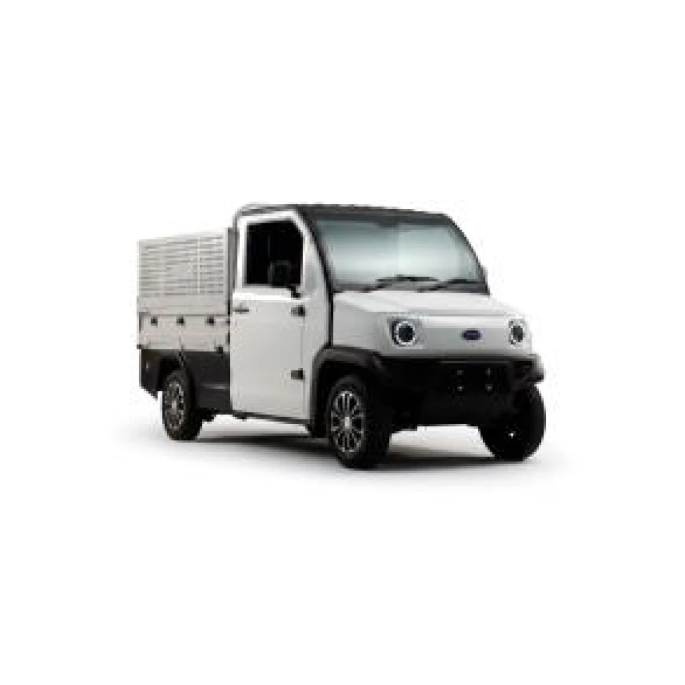 IONA XS — Pickup Cage (ridelles grillagées) — photo constructeur Jonway EV